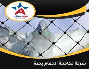 شركة مكافحة الحمام بجدة