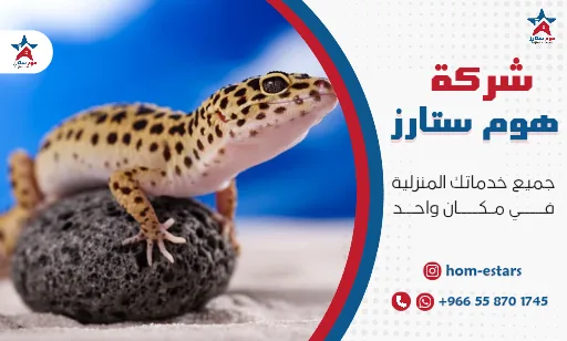 شركة مكافحة الوزغ بتبوك