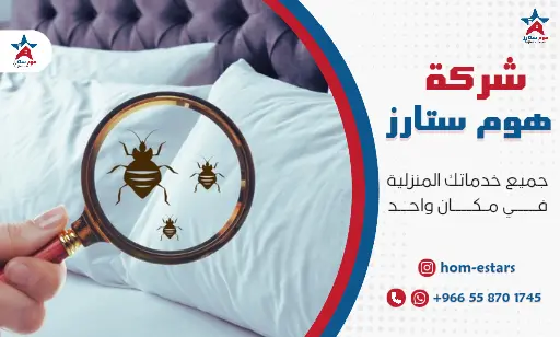 شركة مكافحة البق بجدة