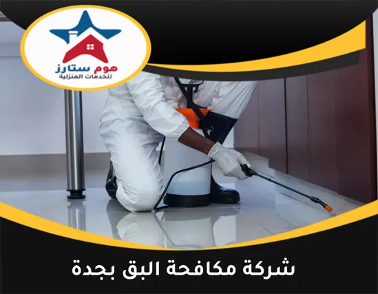 شركة مكافحة البق بجدة