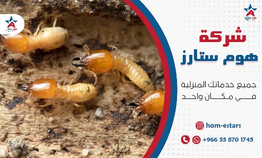 شركة مكافحة النمل الابيض بجدة
