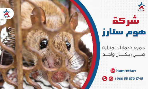 شركة مكافحة الفئران بجدة