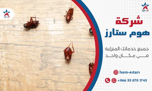 شركة مكافحة الصراصير بتبوك