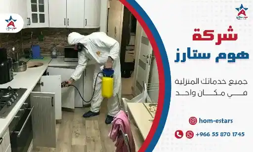 أفضل شركة مكافحة حشرات بحي الصفا