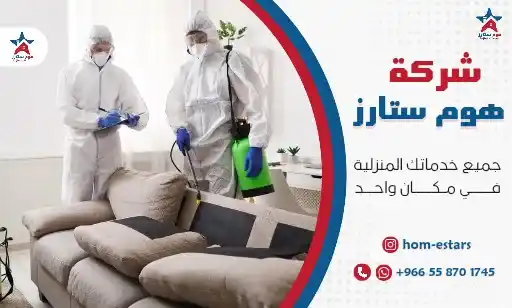 شركة رش حشرات بحي الصفا