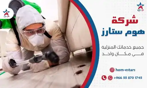 شركة مكافحة حشرات بحي الصفا رخيصة